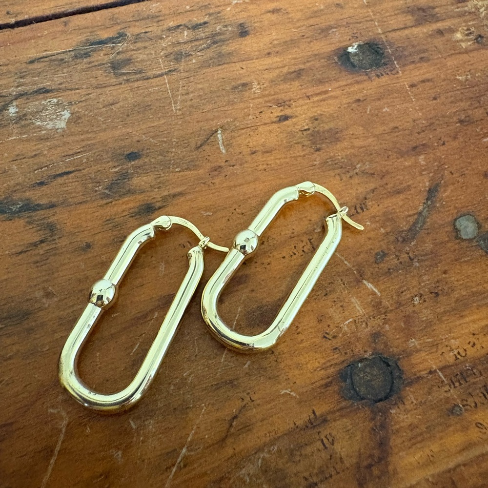Elegant Gold Hoop Earrings